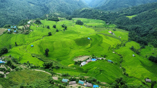 सुन्दर प्याक्लाबेँसी