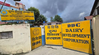 डीडीसीको बक्यौता ७२ करोडबाट २० करोडमा झर्‍यो, दूध सङ्कलन बढाउने तयारी