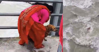 कुकुरलाई पुलबाट सेती नदीमा फालिएको भिडियो भाइरल, महिलाको खोजीमा प्रहरी
