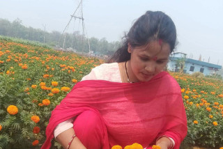 फूलखेतीबाटै वार्षिक २० लाख बचत