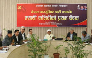 एमालेको स्थायी कमिटी बैठक सुरु, विद्या भण्डारी पनि सहभागी
